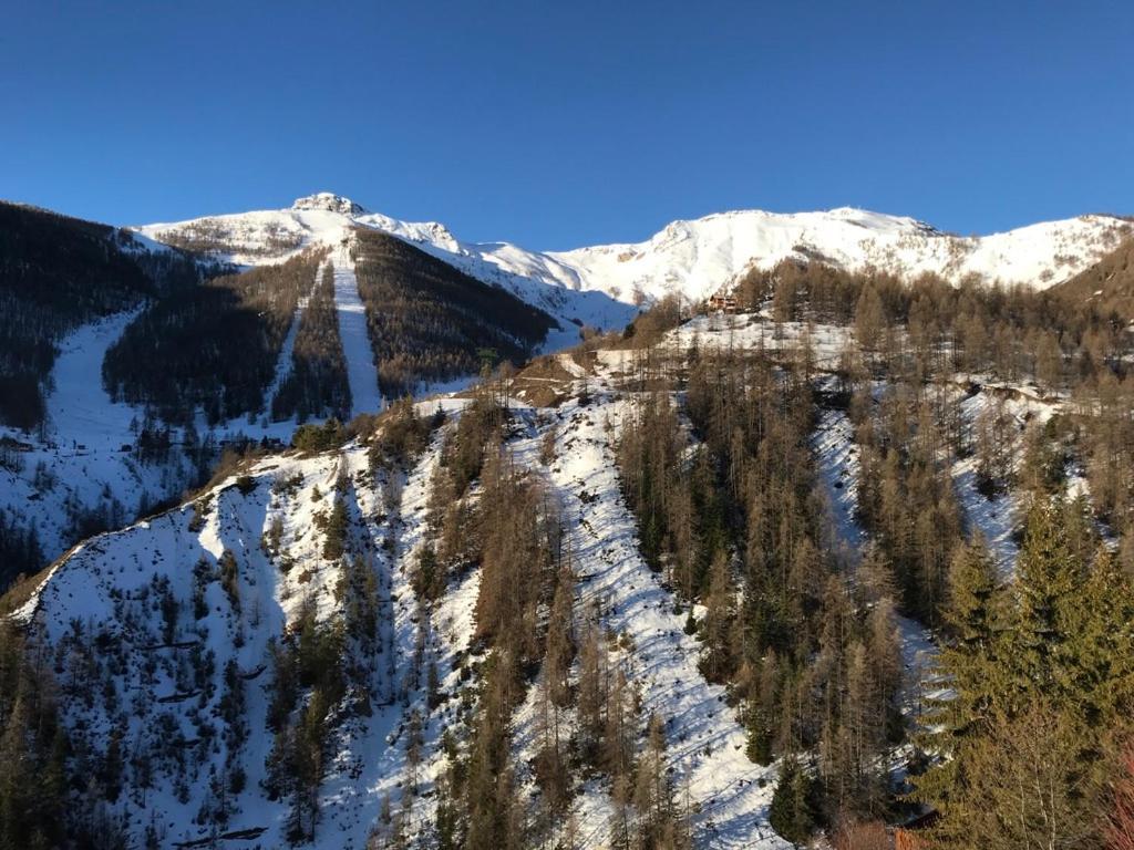 Magnifique 2 Pieces Proche Place D'أورو المظهر الخارجي الصورة